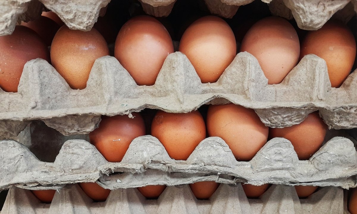 Gdzie wyrzucić opakowanie po jajkach? To zależy od kilku rzeczy. Znasz zasady?