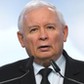 Prezes PiS Jarosław Kaczyński