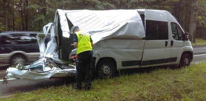 Ogromne drzewo spadło na busa. Zdarzył się cud. ZDJĘCIA