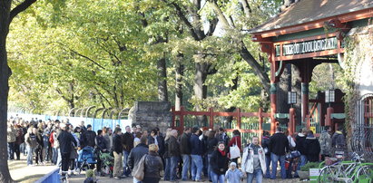 Mamy najdroższe zoo w Polsce