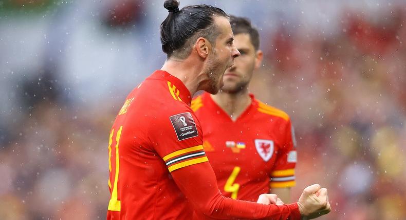 Gareth Bale celebrates the goal against Ukraine 