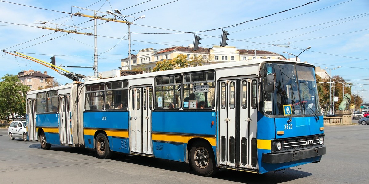 Terroryści w autobusach?