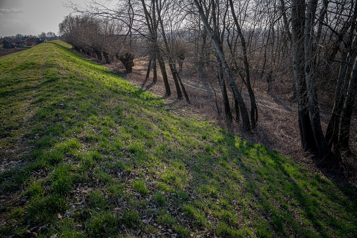 Wał wiślany w Łęce Szczucińskiej. W tym miejscu znaleziono zwłoki Iwony Cygan