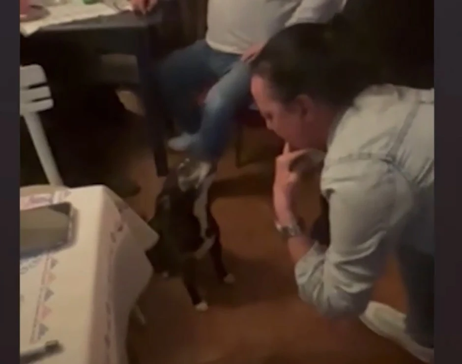 Uživa uz tamburaše svako veče