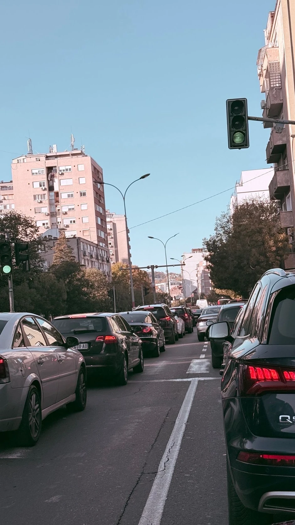 Gužva u Južnom bulevaru