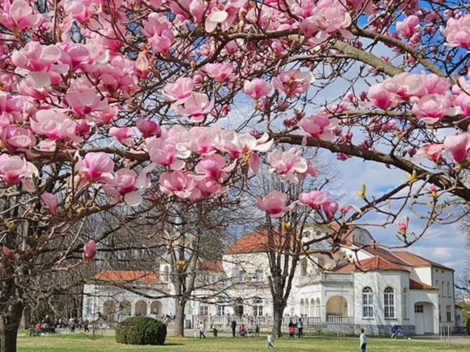 Banja Koviljača