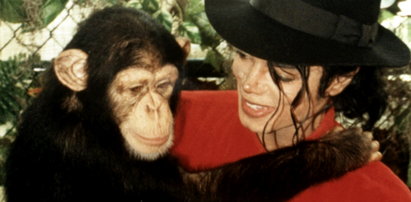 Co stało się z szympansem Michaela Jacksona? Tak potoczyły się jego losy [ZDJĘCIA]