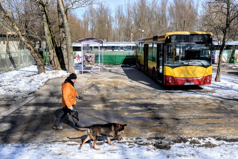 Przed schroniskiem stanęła wiata i autobus do socjalizacji zwierząt