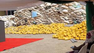 NDLEA seizes 478kgs illicit substances in Kaduna, nabs 90 suspects [Ships & Ports]