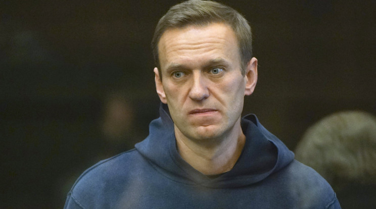 Alekszej Navalnij ellenzéki politikus egy üvegkalitkában áll perének tárgyalásán Moszkva városi bíróságán / Fotó: MTI-AP