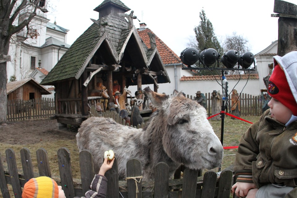 Szopka bożonarodzeniowa na Bielanach