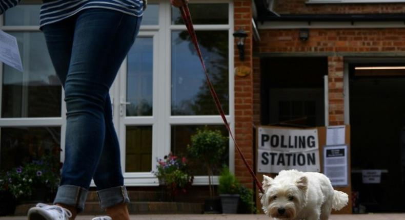 Walkies meant a trip to the polling station for many dogs Thursday as canine companions accompanied their owners to vote in Britain's general election.