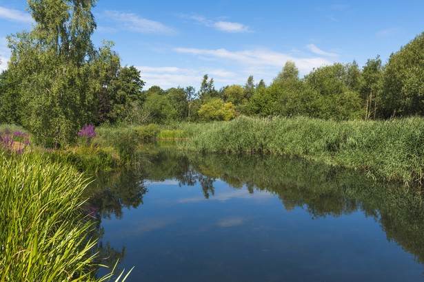 Regionalna Dyrekcja Ochrony Środowiska w Poznaniu wydała w 2015 roku postanowienie uzgadniające warunki realizacji przedsięwzięcia na obszarze Natura 2000 oraz decyzję określającą warunki prowadzenia robót na terenach cennych przyrodniczo