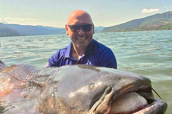 Još jedan kapitalac iz dubina Dunava: Nišlija Milan UHVATIO SOMA OD 113 KILOGRAMA! Pola sata se borio sa grdosijom, jedva ga stavio u čamac