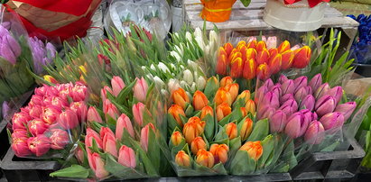 Po ile tulipany? Takie promocje w marketach na Dzień Kobiet