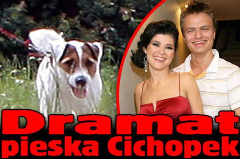 Dramat pieska Cichopek