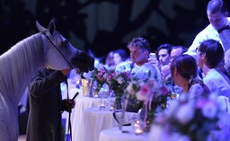 KOWR: Stadnina koni w Janowie Podlaskim nie straciła płynności finansowej