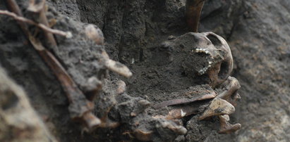 Ludzkie szczątki na terenie podlaskiej parafii