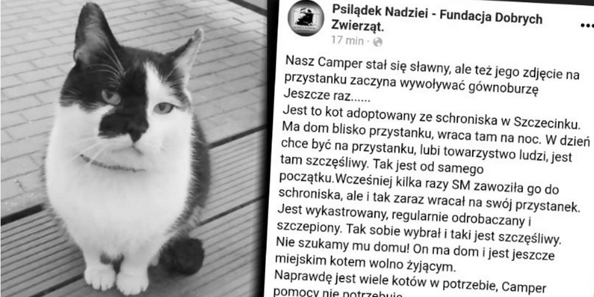 Nie żyje Camper, najpopularniejszy kot w Szczecinku.
