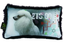 Poduszka dla wielbicieli pudelka