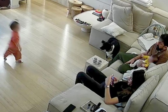 MINA OBJAVILA SNIMAK SA SIGURNOSNIH KAMERA, EVO ŠTA JE ZABELEŽILA Ognjen Amidžić dao 100.000 evra za renoviranje stana, sada je sve pod video nadzorom