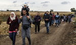 Polska przyjmie 11,5 tys. uchodźców