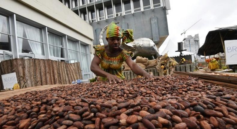 Ivory Coast supplies two million tonnes of cocoa to the world market annually