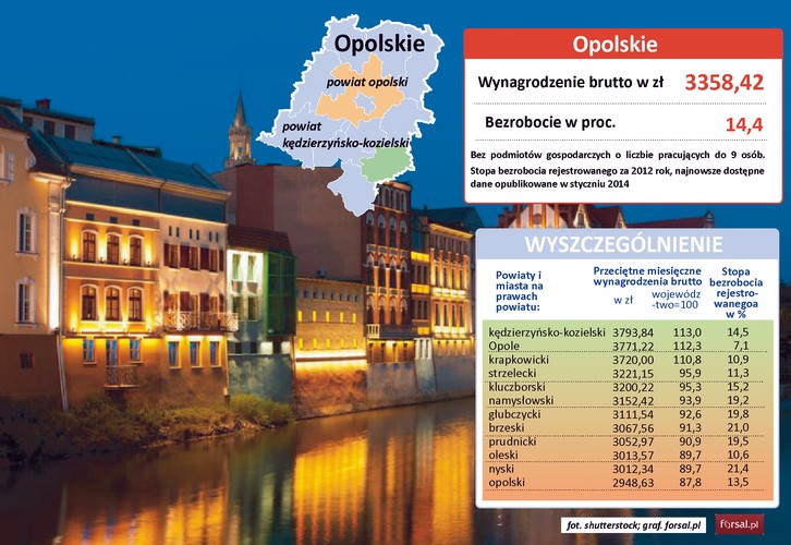 Średnia wartość wynagrodzeń w opolskim to 3358 zł brutto. Chociaż opolskie jest najmniejszym województwem, na jego terenie działają rozpoznawalne firmy, na przykład: ZAK SA, ZPC Otmuchów, Danone, Zott, Coroplast czy Arcelor Mittal.  Województwo opolskie posiada bardzo urodzajne gleby, których jakość waha się, w zależności od regionu, od II do IV klasy. Użytki rolne zajmują ponad połowę powierzchni województwa. Ziemia opolska bogata jest również w surowce mineralne, wykorzystywane głównie w przemyśle materiałów budowlanych. Przykładowo, wydobywane tam łupki fillitowe stanowią 100 proc. krajowych zasobów.