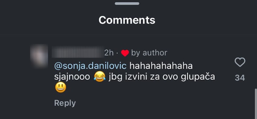 Sonja Danilović, komentar