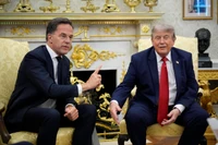 Ten szczyt pokaże, czy NATO może przetrwać w obecnej formie. "Europa jest zirytowana"
