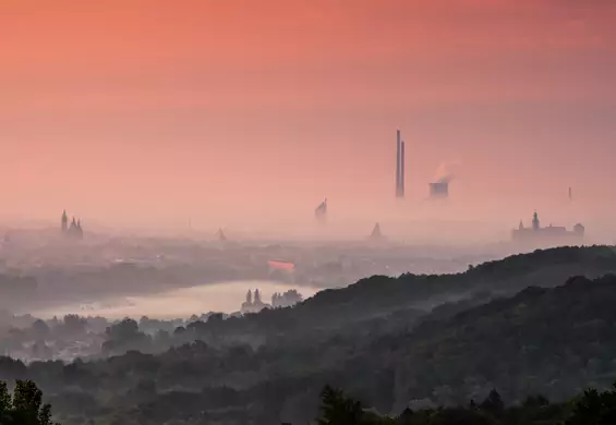 Czy istnieje alergia na smog? Stwierdzili to krakowscy naukowcy