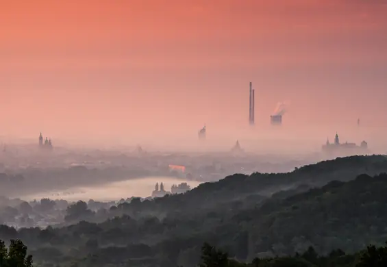 Czy istnieje alergia na smog? Stwierdzili to krakowscy naukowcy