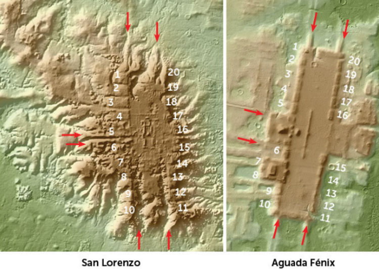 Konstrukcja zbudowaną przez Olmeków w San Lorenzo (po lewej) oraz Aguada Fénix (po prawej). Fot. Inomata et al., Nature Human Behaviour, 2021