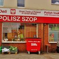 Polskie firmy działające za granicą nie obawiają się Brexitu