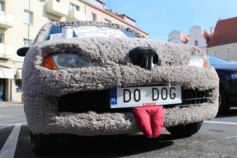 Fiat Seicento piesek Głupi i Głupszy