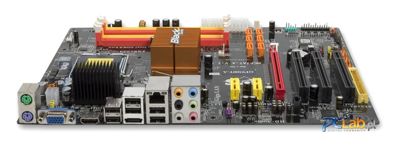 Zestaw gniazd wyjściowych oprócz standardowych złączy zawiera gniazda HDMI i D-sub
