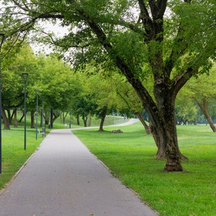 Ilyen lenne egy park, ha látássérültek terveznék