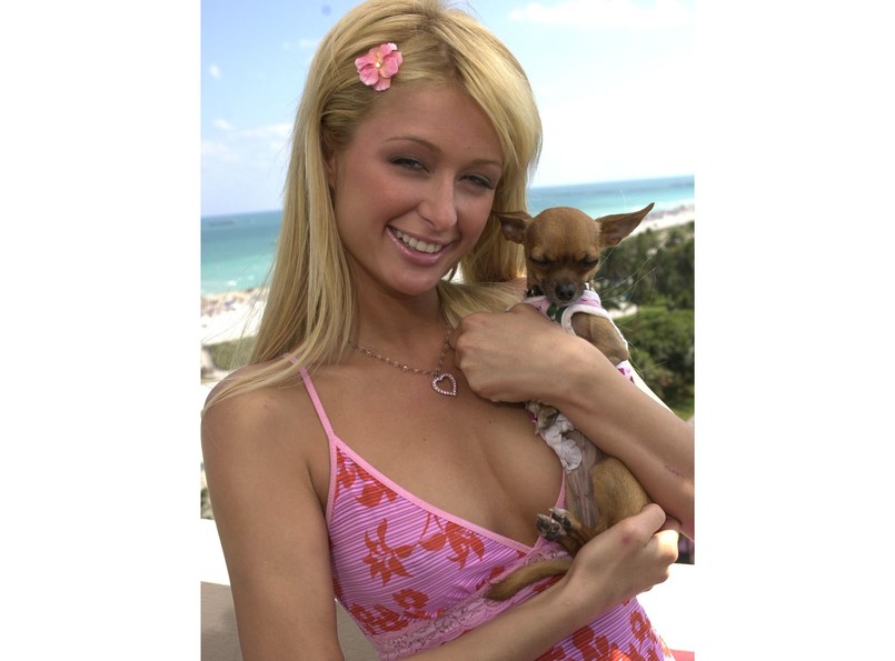 Paris Hilton z psem