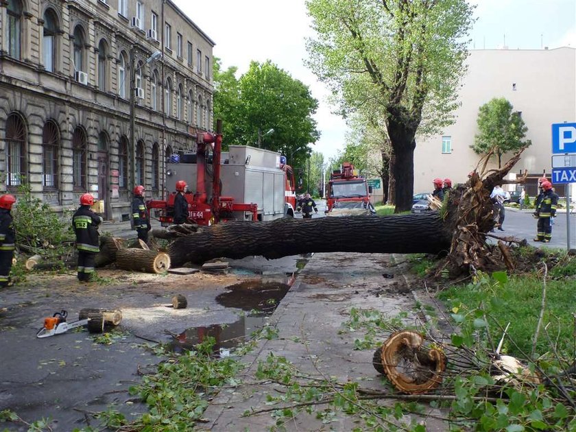 Śmierć i zniszczenie. Bilans strat po nawałnicy