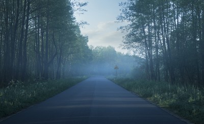 Wojna o drogi na Podlasiu i Mazurach. Biebrzy nie przetnie ekspresówka
