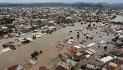 Why a dam in Cameroon causes devastating floods in Nigeria every year [Pulse Explainer]