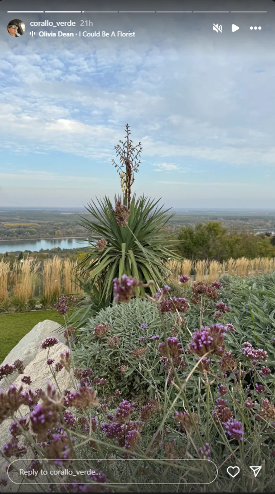 Dvorište Branke Nevistić