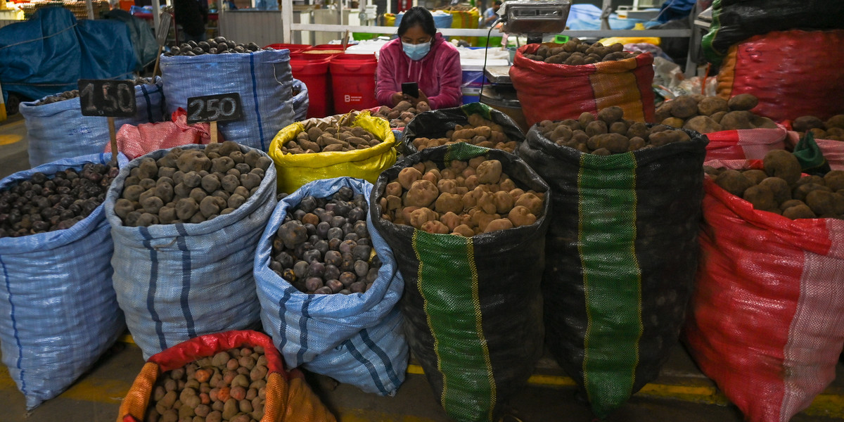 Sprzedawczyni ziemniaków w Arequipa, Peru.