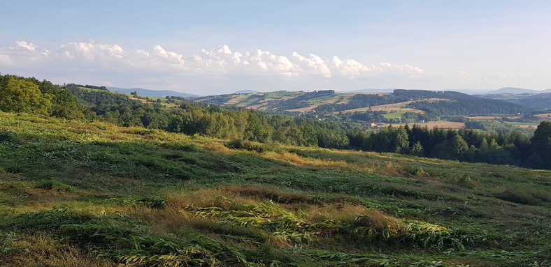 Ciężkowice - widok na Beskid Sądecki