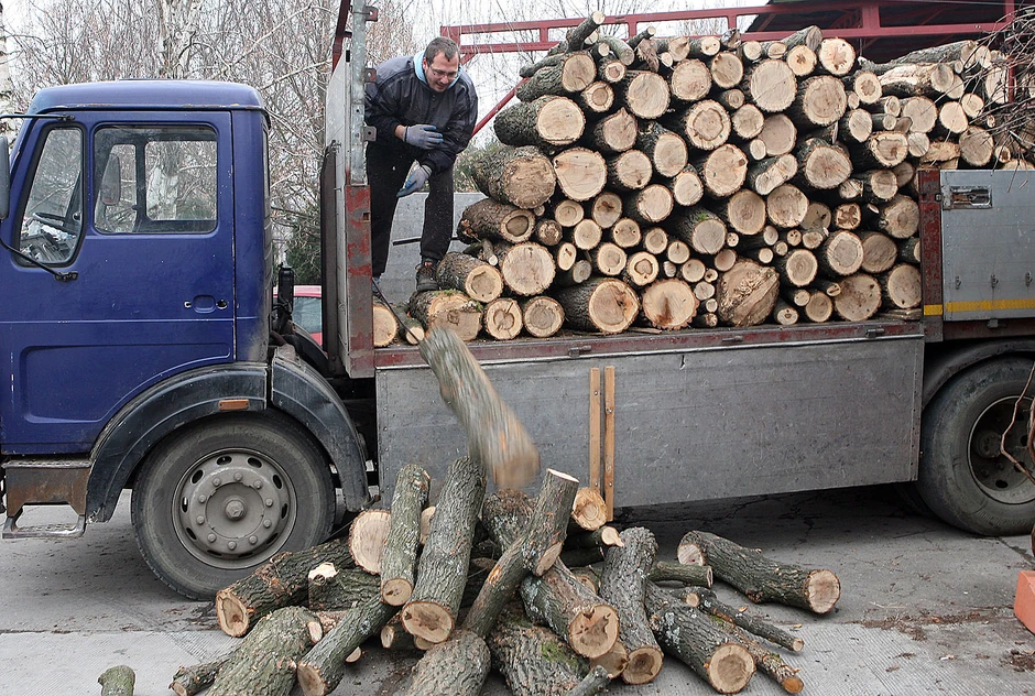 Cena ogrevnog drveta će pratiti cenu goriva, a ako se nastavi trend poskupljenja ogrevno drvo na jesen može koštati i svih 100 evra za kubik