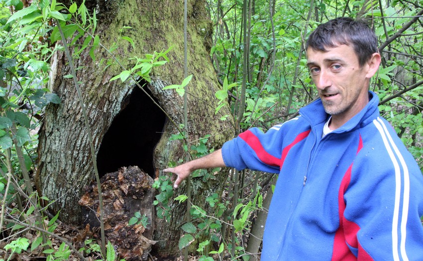 Milan Stanišljević našao oružje u stablu kestena