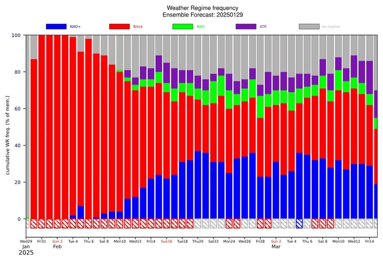 Zahlađenje bi moglo da potraje i do polovine februara