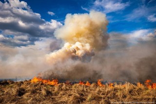 Pożar nad Biebrzą. Policja zbiera dowody do śledztwa, które ma ustalić przyczynę pożaru