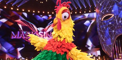 "Mask Singer". Kto pożegnał się z programem? Zobacz, kim był uczestnik, który krył się pod tą maską!