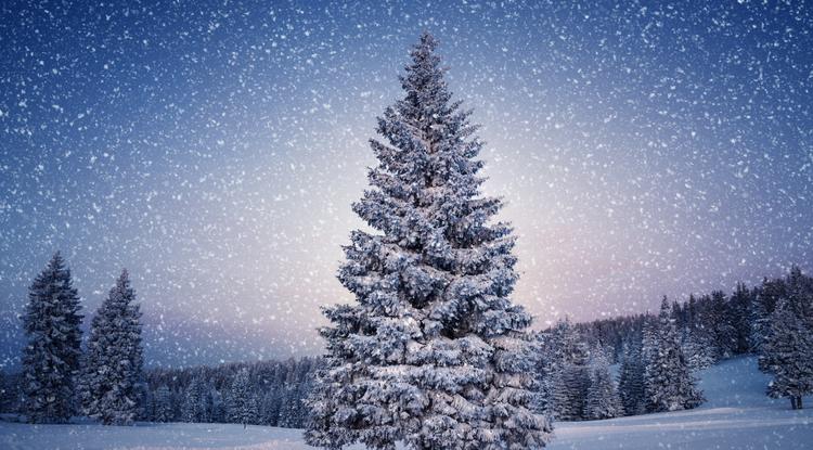 Egyre nagyobb a fehér karácsony esélye Fotó: Getty Images